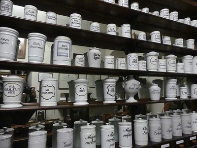 Thực Tập Sinh Tư Vấn Sản Phẩm Sức Khoẻ Bán Thời Gian - Công ty TNHH Tư Vấn Dịch Vụ Chồi Xanh