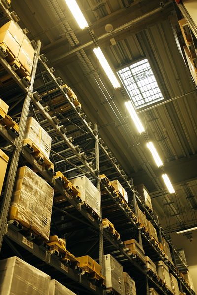 Thực Tập Sinh Logistics Khu Vực Trung Tâm - Công Ty TNHH TMDV Phát Triển Chồi Xanh